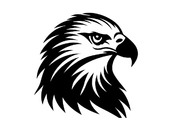 Shaheen Institute Logo